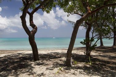 Profitez de votre sjour  Nassau - Paradise Island pour dcouvrir des plages paradisiaques