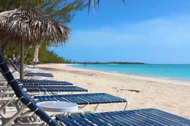 L'endroit est rv pour lzarder au soleil