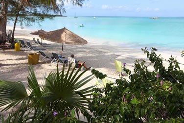 Prnez le temps de ne rien faire...