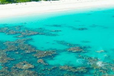 L'le est le paradis des activits nautiques, de la pche et de la plonge