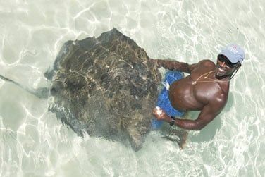 Les fonds marins sont trs riches