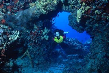 Explorez les moindres recoins de ces fonds marins...