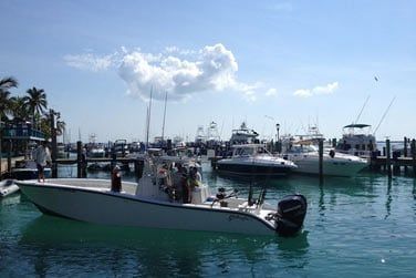 Embarquez dans l'un de ces bateaux et partez explorer la beaut des fonds marins bahamens