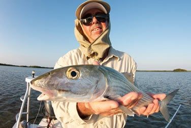 Peut-tre parviendrez-vous  attraper un de ces insaisissables Bonefish des Bahamas...