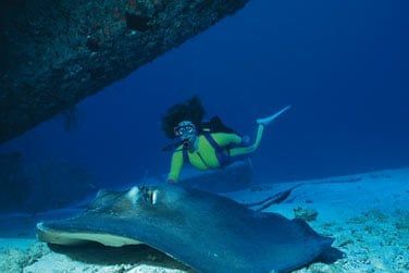 Une exprience inoubliable ...