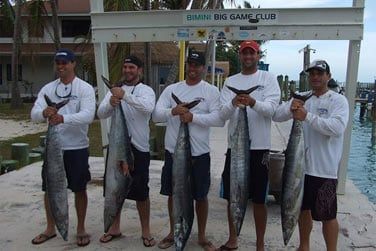 Le Bimini Big Game Club, le rendez-vous des pcheurs du monde entier !