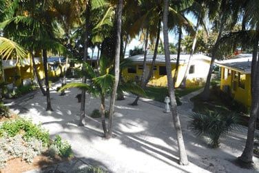 Les cottages parsems dans les jardins de palmiers