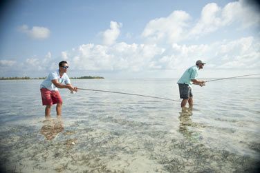 Ou pchez simplement  la ligne !