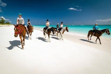 Profitez de ce paysage magique pour une balade  cheval sur la plage