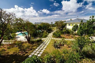 Dcouvrez le Pineapple Fields