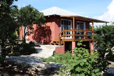 ... noy�s dans la v�g�tation