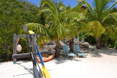 Plonge, kayak, balades sur la plage...