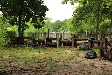 Ici la nature rgne...