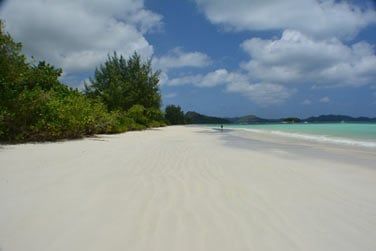 Sur la Cte d'Or  Praslin