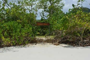 A quelques mtres seulement vous attend la plage de Cte d'Or