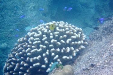 La plage est propice  la baignade dans des eaux calmes