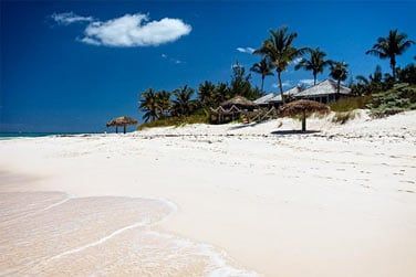 Le Tippy's Restaurant