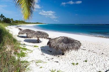 Profitez d'une vue sur la plage