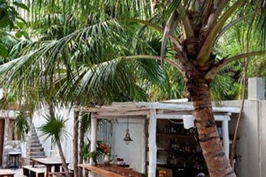 Laissez-vous guider par le barman pour un cocktail rafrachissant aux saveurs tropicales