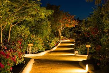Le jardin tropical luxuriant au coeur de l'htel