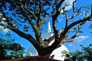 photo Sri Lanka / Maldives vasion en duo Maldives