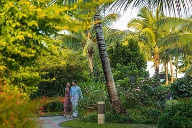 Promenez-vous au milieu des jardins tropicaux de l'htel
