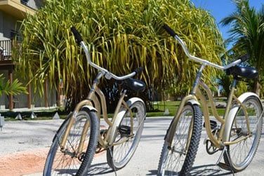 Explorez l'le lors d'une balade  vlo...