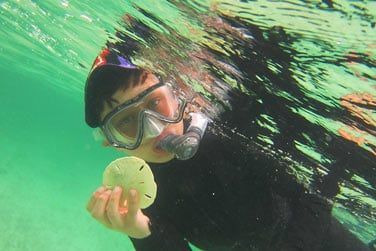 Parcourez les sublimes fonds marins lors d'une sance de plonge