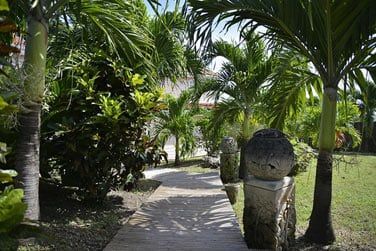 Dans une magnifique vgtation luxuriante!