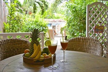 La terrasse de l'appartement 1 chambre, au coeur du jardin tropical