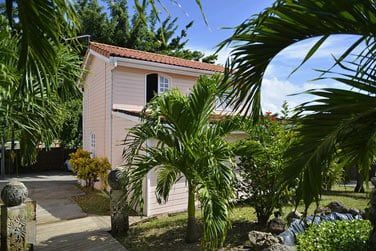 Entoures par le jardin tropical