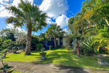 photo Domaine de la Palmeraie Martinique