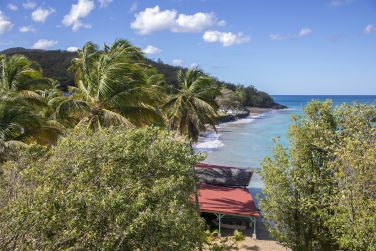 A la cabane nautique, sortez les palmes !