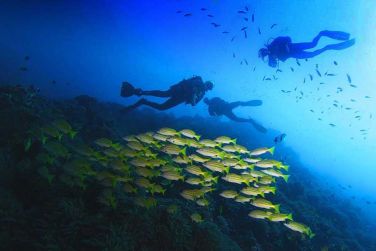 photo Fundu Lagoon Zanzibar