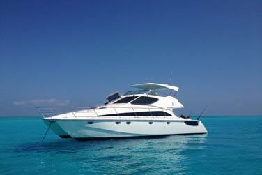 Partez explorer la beaut des jardins coralliens  proximit de l'le...