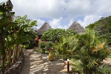 Les Jungle Villas se trouvent au coeur de la vgtation