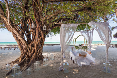 Un djeuner ou un dner les pieds dans le sable avec une vue poustouflante sur l'ocan Indien