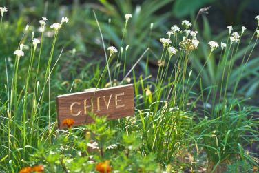 photo Zanzibar White Sand Luxury Villas & Spa Zanzibar