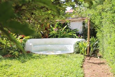 Le jardin luxuriant...