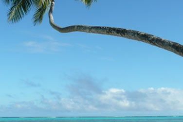 Profitez du calme serein pour vous dtendre au soleil