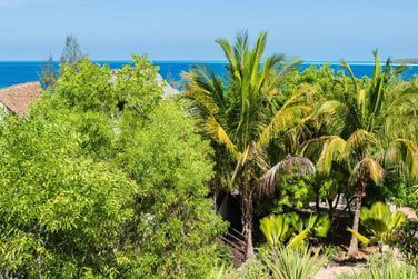 Cet htel de charme se trouve au cur de nature luxuriante de Zanzibar