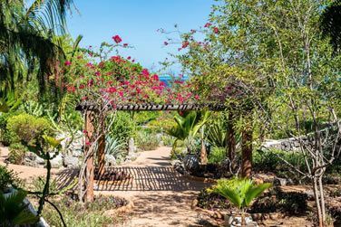 Ds votre arrive, vous serez immerger dans cette vgtation luxuriante et cette ambiance dtendue