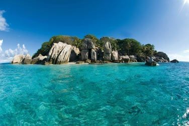 Dcouvrez une fabuleuse vie sous-marine lors d'une sortie en snorkeling  l'le Coco...