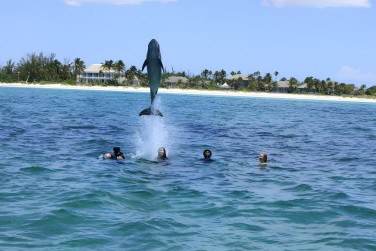 photo Combin� Miami / Bahamas � prix doux Bahamas