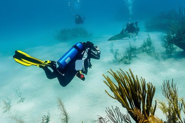 photo Combin� Miami / Bahamas � prix doux Bahamas