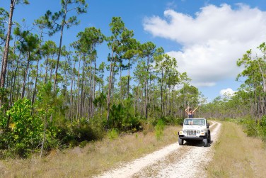 photo Combin� Miami / Bahamas � prix doux Bahamas