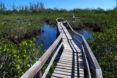 Dcouvrez la biodiversit de l'le lors d'une excursion en pleine nature