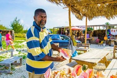 Le conch, fameux coquillage des Bahamas