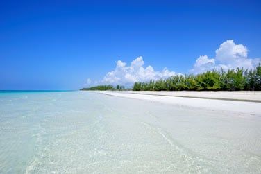 Envolez-vous ensuite vers l'le de Grand Bahama aux Bahamas !