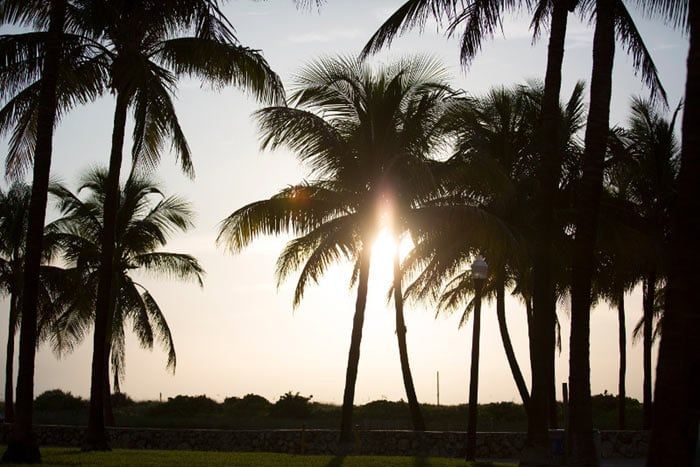 Combin Miami / Bahamas - City Break & Farniente